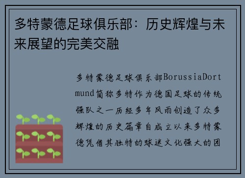 多特蒙德足球俱乐部：历史辉煌与未来展望的完美交融